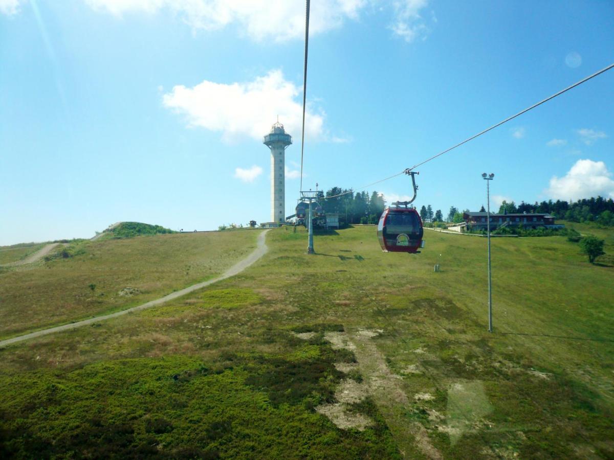 Ferienblockhaus Willingen Mit Meinecardplus מראה חיצוני תמונה